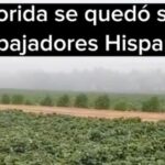 florida_videos_migrantes_ley_10_de_mayo.jpeg